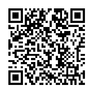 顿时两个人不约而同的朝着龙傲天这个第三者攻击过去二维码生成