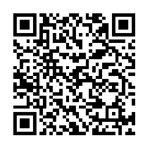 顿时之间之前的那几个老者此时已经直接变成了一摊烂肉二维码生成