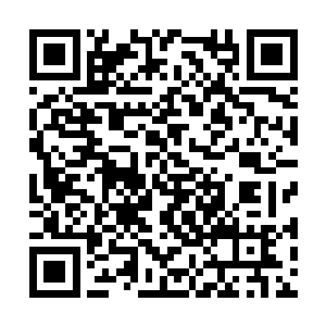 顿时之间狮子圣骑的身子顿时被苏凡轰的连连后退二维码生成