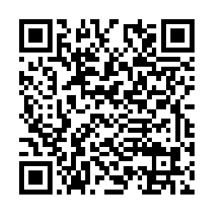 顿时从那一堆尸体之中跳出了一个浑身是血的干尸二维码生成