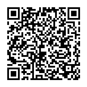 顿时众人只感觉眼前的空间仿佛一面镜子一般终于化作了漫天的碎片二维码生成