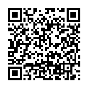 顿时便感觉到了我在的头顶出现了一条巨大的白龙二维码生成