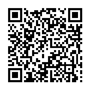 顿时便有七八只翅宽体长的红顶仙鹤落在几人身边二维码生成