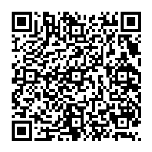 顿时像是断了线的风筝或者说折断翅膀的苍蝇或者说中了强效杀虫剂的蟑螂那样跌落下来二维码生成