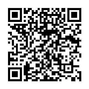 顿时决定今天中午要和所有的将士痛痛快快的吃一顿红烧肉二维码生成