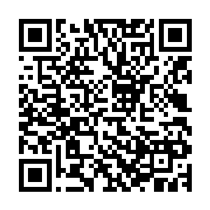 顿时只见两个人的手中顿时出现了一枚无比妖异的血色的玉符二维码生成