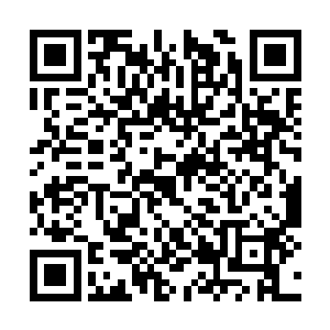 顿时右膝抬起直接朝着天蝎圣骑的脑袋顶撞了过去二维码生成