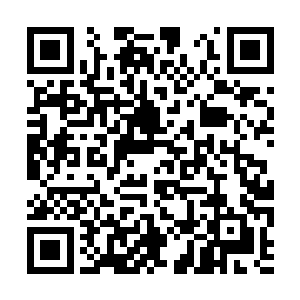 顿时周围的众人脸色也露出了一抹无比震惊的神情二维码生成