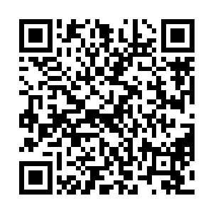 顿时周围那些看热闹的人将目光死死的定在贪狼所在地二维码生成