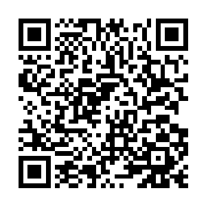 顿时她就觉得感受到了木萦压抑在内心深处的悲苦二维码生成