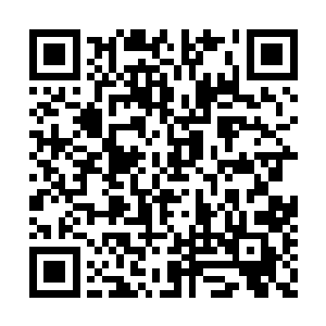 顿时就有不少人马自告奋勇要跟着董大郎去哨探二维码生成