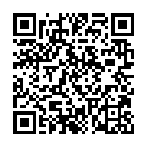 顿时就被秦逆流的双手狠狠的扼住了自己的喉头二维码生成