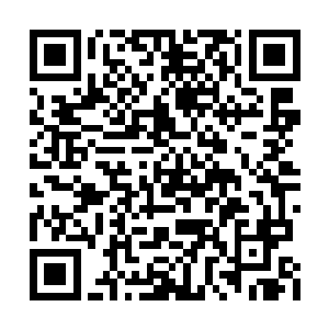 顿时就让本来就食欲不佳的三女更加的没食欲了二维码生成