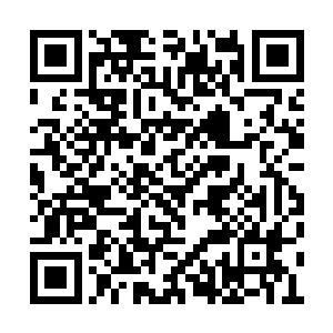 顿时引得汇集在周围的各峰峰主纷纷议论了起来二维码生成