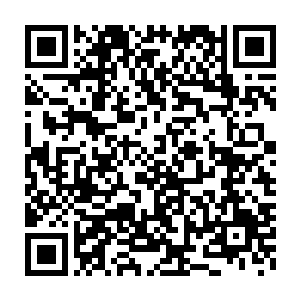 顿时引来了太元圣境除芙蓉仙子外的其他青年男女和少年男女的附和二维码生成