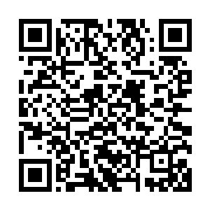 顿时所有人也纷纷的朝着白衣女子所在的马车的旁边汇集起来二维码生成