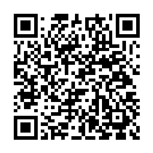 顿时把注意力都投入到了新派渝菜的丰富口味上二维码生成