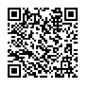 顿时控制着其他的骷髅将这个巨大的缺口给补上了二维码生成