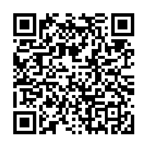顿时摇晃着长长的尾巴屁颠屁颠地就跟着苏青黛跑二维码生成