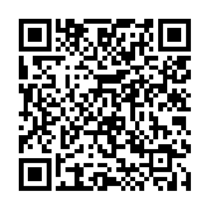 顿时有一股股浩瀚的混沌之力从混沌内丹中喷涌而出二维码生成