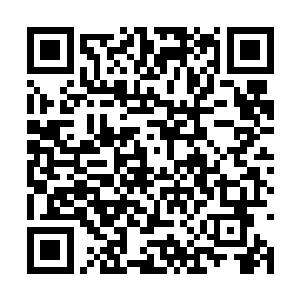 顿时洛离体内的十二天道法则碎片的生死两个碎片二维码生成