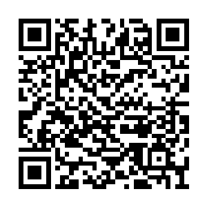 顿时直接近百道身影也是从山谷的下方飞射而出二维码生成