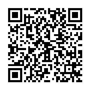 顿时缭绕在它身边的如千鸟一般的白色身影纷纷倒卷着飞了出去二维码生成