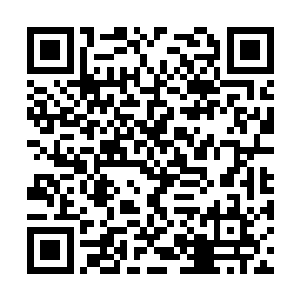 顿时苏凡只感觉一只手已经抓在了自己的肩膀之上二维码生成