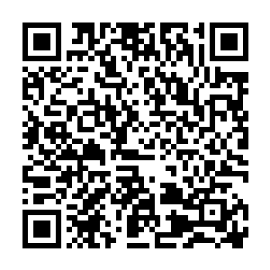 顿时苏凡的拳头狠狠的砸在了射手圣骑还有双子圣骑的胸口的盔甲之上二维码生成