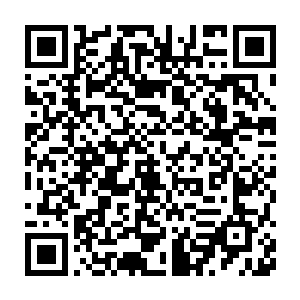 顿时行成一片散发着荒芜之气的灰色屏障为身后众人撑起一片安全的天二维码生成