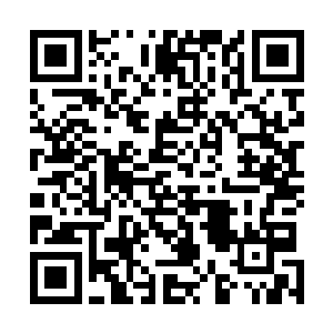 顿时要面临兵俑集群全军覆没危险……接着就可能是舰群二维码生成