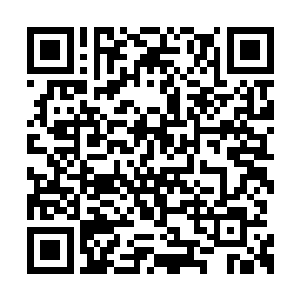 顿时观众们都好奇多洛拿出来的东西到底是什么二维码生成