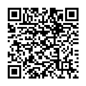 顿时让他感觉到整个五脏六腑都好像被震动的移位了二维码生成