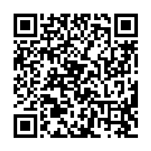 顿时让原本正在承受龙龟王骨刺攻击的楚旬雪上加霜二维码生成