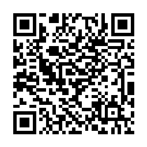 顿时让原本气势汹汹的恶鬼们顿时有些慌乱了起来二维码生成