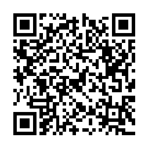 顿时让秦方和楚爸爸两人的心瞬间提到了嗓子眼了二维码生成