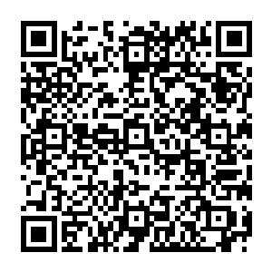 顿时贴合着这棵树的身体立即从树上以自由落体的速度快速降落了下来……三米左右的高度二维码生成