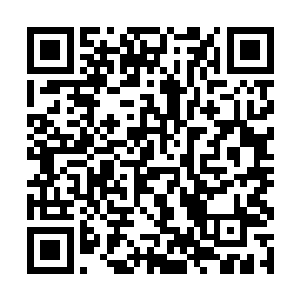 顿时那些张家人所化的飞尘就都落在了张家人的身上二维码生成