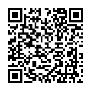 顿时金甲傀儡的巨大的身体也被硬生生的掀飞了起来二维码生成