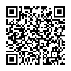 顿时间两人感觉脑子里如被什么东西给狠狠搅动了起来二维码生成