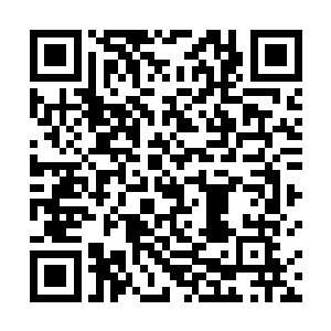 顿时雪白纤嫩的美腿就在裙裾飘起的瞬间可以看到腿根二维码生成