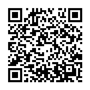 顿时雪腻的肌肤上就出现了一个红红的小巴掌印儿二维码生成