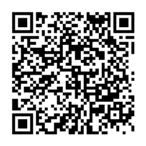 顿时露出了一丝无比恐愉的神色的望向了前面脚步越来越近的年轻人二维码生成