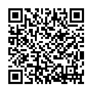 顿时黑衣人的脸色也一下子变得无比的难看起来二维码生成