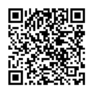 顿时龙傲天也暗暗的决定一定要拿下这个神秘的珠子二维码生成