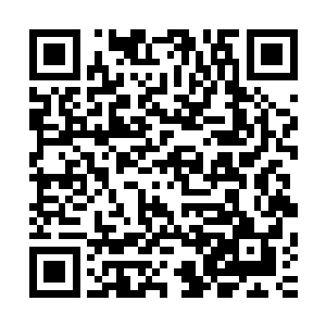 顿时龙傲天只感觉自己的心神进入到了一片碧绿色的海洋之中二维码生成