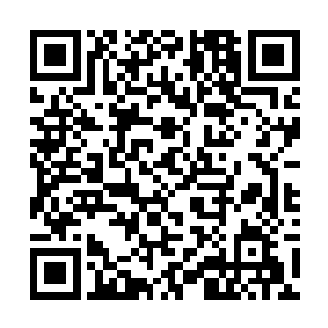 顿时龙傲天对于这个所谓的逐道世界更加的好奇起来二维码生成