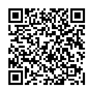 预示着一切的情况的确是在向着自己当初既定的目标在发展二维码生成