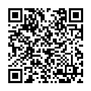 预设中夏侯家也不可能光明正大组织大批人马进攻二维码生成