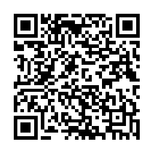 预赛的安排和整体宣传其实并没有体现出私g的水平二维码生成